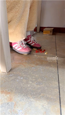 【嘀嘀哒嘀】踩小面包    260203-6BP